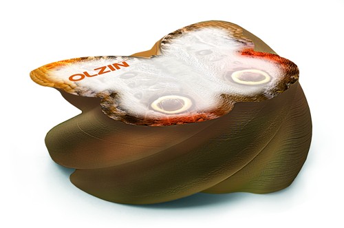 031