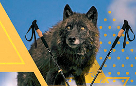 SCHWARZWOLF OUTDOOR AKO PRVÝ