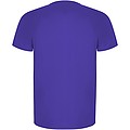 Pánske športové tričko s krátkym rukávom, ROLY IMOLA, fialová, veľ. 2XL