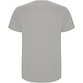 Pánske tričko s krátkym rukávom, ROLY STAFFORD, svetlosivá, veľ. 2XL