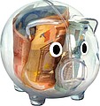 PRASÁTKO Pokladnička prasiatko, transparentná