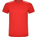 Unisex tričko Roly Detroit, červená, veľkosť S