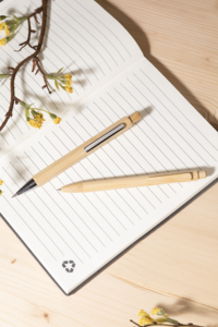 Bambusové kuličkové pero, béžová