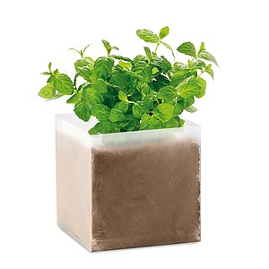 GARDENY Vrecko so semienkami mäty