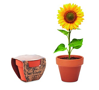 Květináč se semínky slunečnice - reklamní předměty