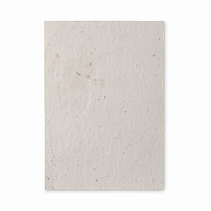 List recyklovaného papíru A5 se semínky květin