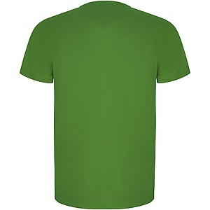 Pánské sportovní tričko s krátkým rukávem, ROLY IMOLA, zelená, vel. 2XL