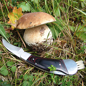 SCHWARZWOLF PILZ Houbařský nůž, hnědá