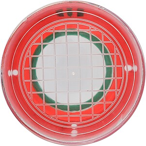 Zvětšovací nádoba se dvěma vestavěnými čočkami, světle zelená